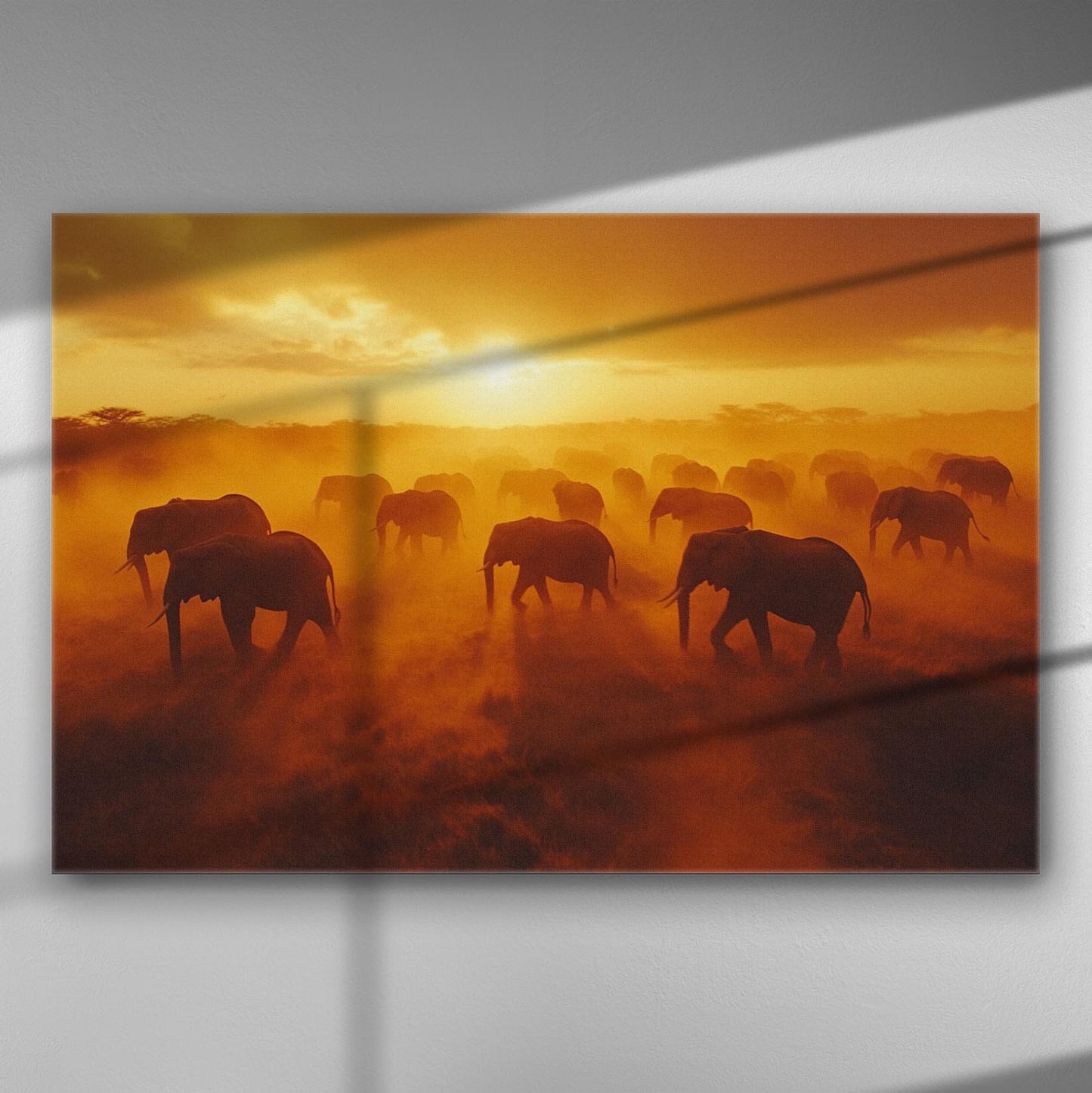 Canvas print of elephants crossing the savannah at sunset with a warm orange glow.