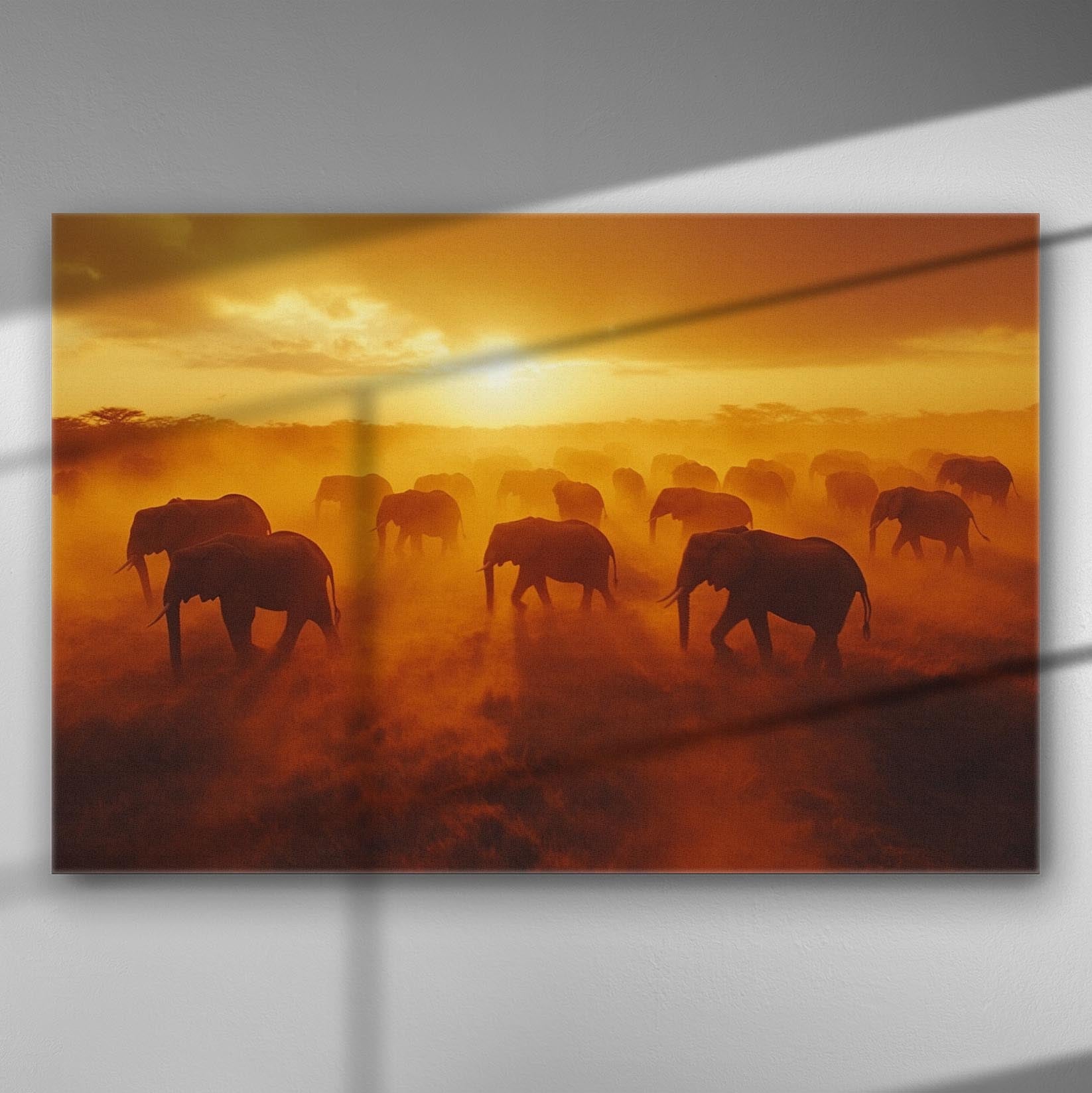 Canvas print of elephants crossing the savannah at sunset with a warm orange glow.