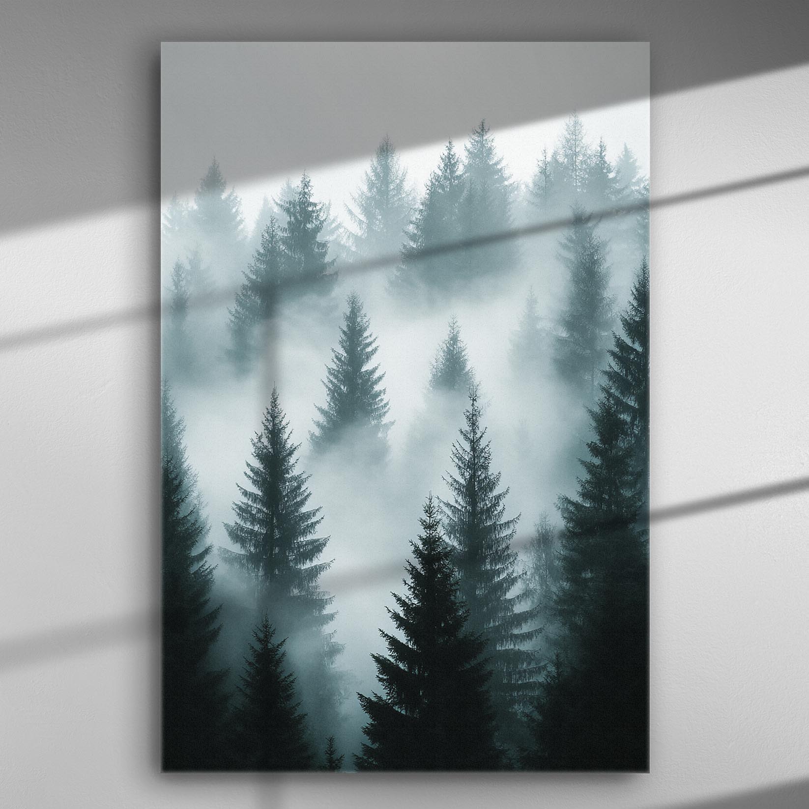Foggy pine forest creating a mystical and tranquil atmosphere.