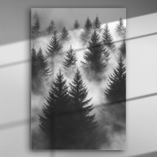Black and white image of a dense forest covered in mist, with tall pine trees.