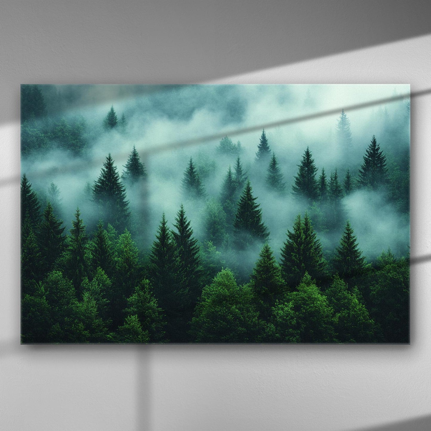 A misty forest landscape with lush green fir trees in dense fog.