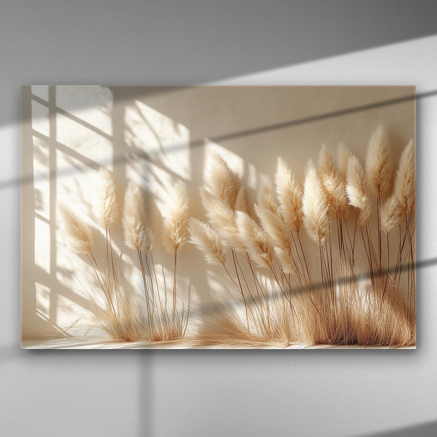 Canvas print featuring pampas grass against a light background with shadows.