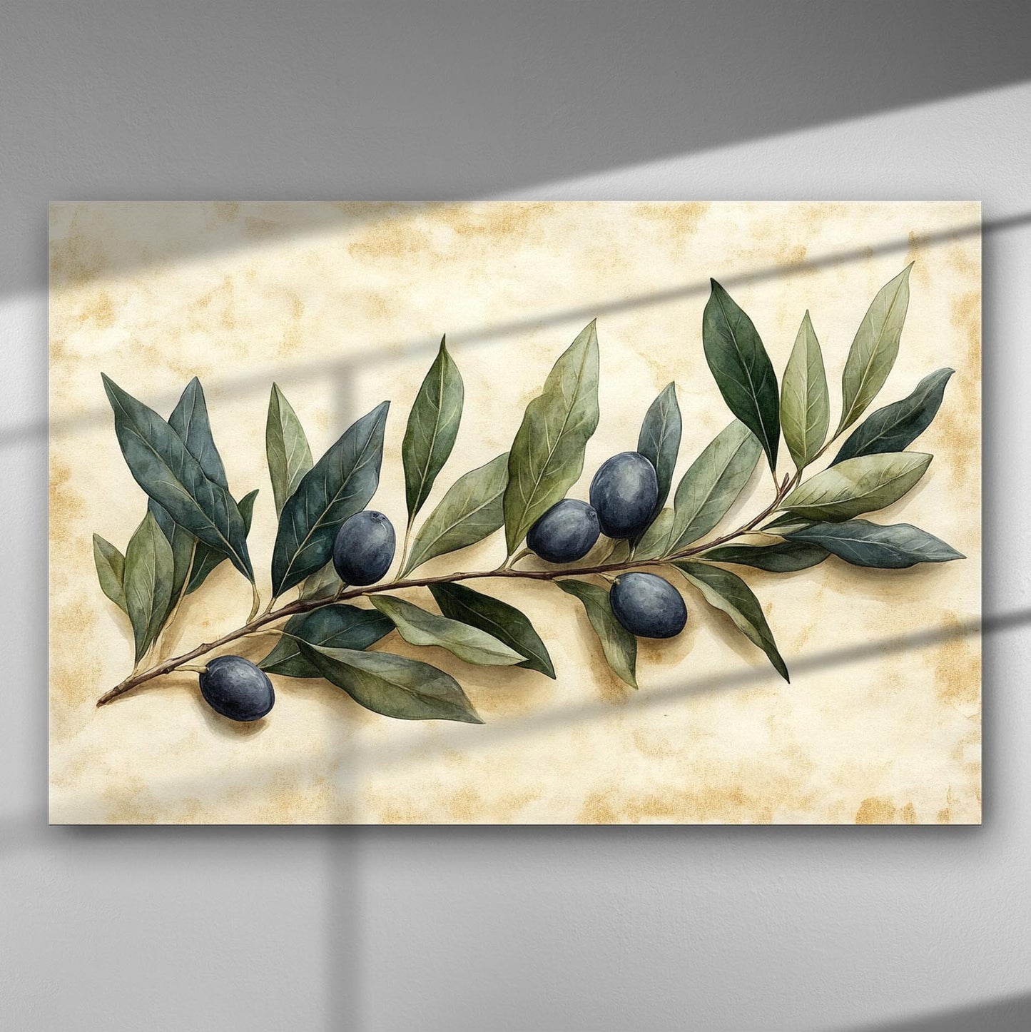 Canvas print of olive branch with leaves on light background.