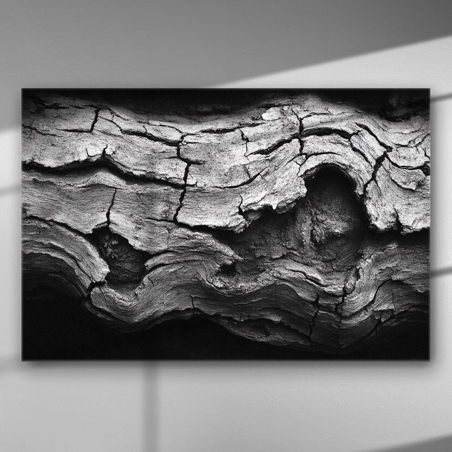 Close-up image of cracked wood texture in black and white on canvas.